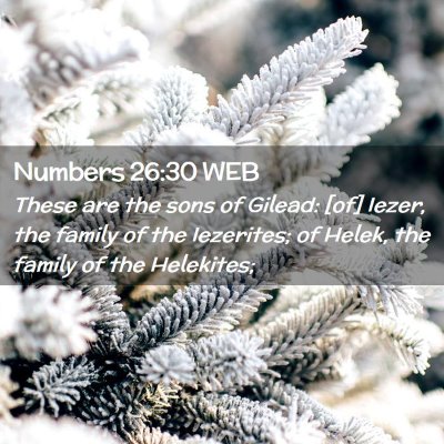 Picture 02 - Numbers 26:30 WEB - These are the sons of Gilead: [of] Iezer, the - Bible Verse Picture