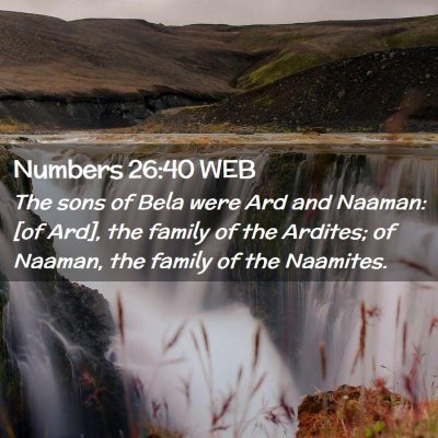 Picture 02 - Numbers 26:40 WEB - The sons of Bela were Ard and Naaman: [of Ard], - Bible Verse Picture