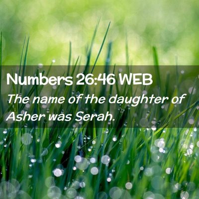 Picture 02 - Numbers 26:46 WEB - The name of the daughter of Asher was - Bible Verse Picture