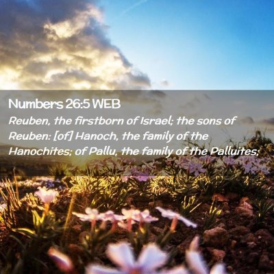 Picture 02 - Numbers 26:5 WEB - Reuben, the firstborn of Israel; the sons of - Bible Verse Picture