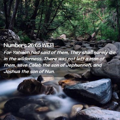 Picture 02 - Numbers 26:65 WEB - For Yahweh had said of them, They shall surely - Bible Verse Picture