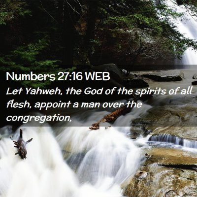 Picture 02 - Numbers 27:16 WEB - Let Yahweh, the God of the spirits of all flesh, - Bible Verse Picture