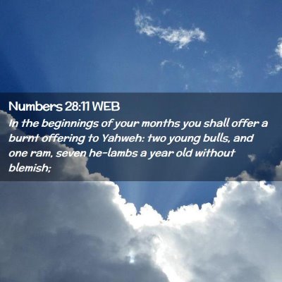 Picture 02 - Numbers 28:11 WEB - In the beginnings of your months you shall offer - Bible Verse Picture