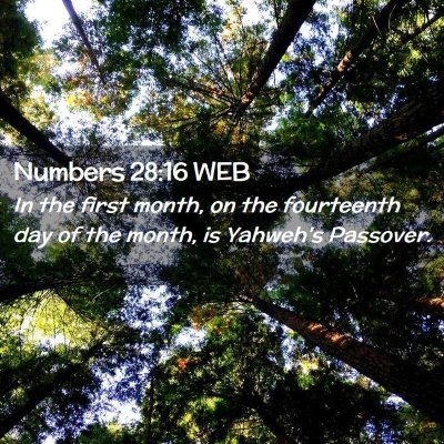 Picture 02 - Numbers 28:16 WEB - In the first month, on the fourteenth day of the - Bible Verse Picture