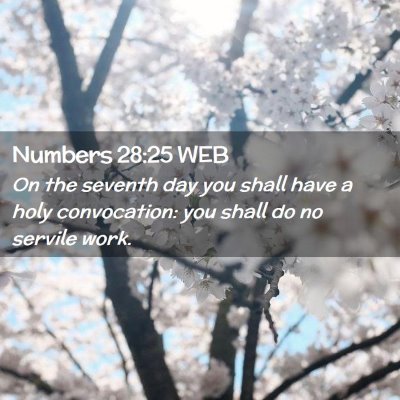 Picture 02 - Numbers 28:25 WEB - On the seventh day you shall have a holy - Bible Verse Picture