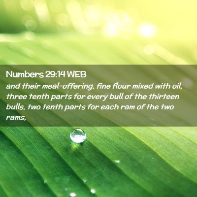 Picture 02 - Numbers 29:14 WEB - and their meal-offering, fine flour mixed with - Bible Verse Picture