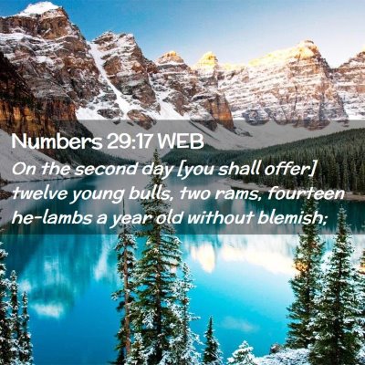 Picture 02 - Numbers 29:17 WEB - On the second day [you shall offer] twelve young - Bible Verse Picture