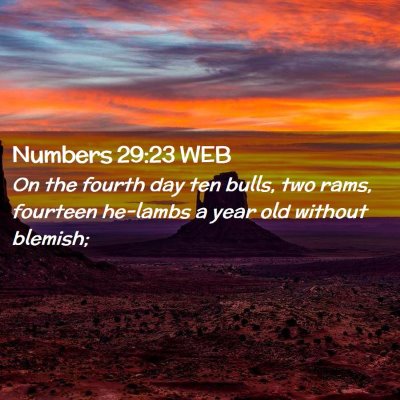Picture 02 - Numbers 29:23 WEB - On the fourth day ten bulls, two rams, fourteen - Bible Verse Picture