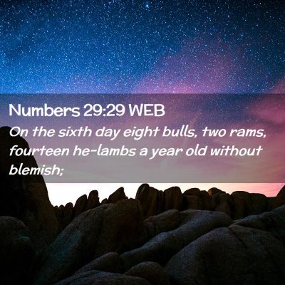 Picture 02 - Numbers 29:29 WEB - On the sixth day eight bulls, two rams, fourteen - Bible Verse Picture