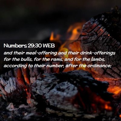 Picture 02 - Numbers 29:30 WEB - and their meal-offering and their drink-offerings - Bible Verse Picture
