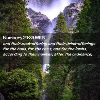 Picture 02 - Numbers 29:33 WEB - and their meal-offering and their drink-offerings - Bible Verse Picture