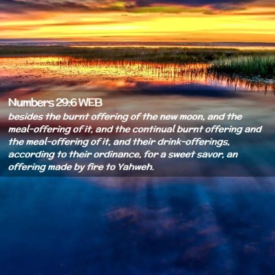 Picture 02 - Numbers 29:6 WEB - besides the burnt offering of the new moon, and - Bible Verse Picture