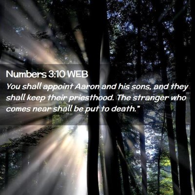 Picture 02 - Numbers 3:10 WEB - You shall appoint Aaron and his sons, and they - Bible Verse Picture
