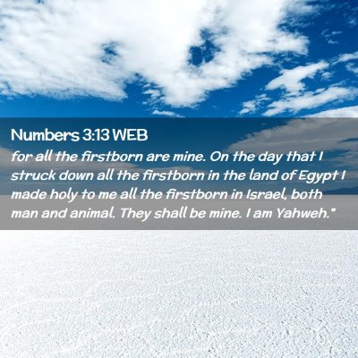 Picture 02 - Numbers 3:13 WEB - for all the firstborn are mine. On the day that I - Bible Verse Picture