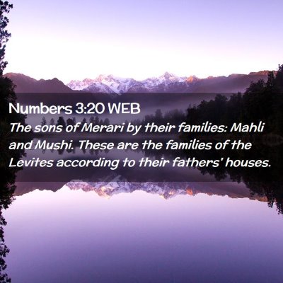 Picture 02 - Numbers 3:20 WEB - The sons of Merari by their families: Mahli and - Bible Verse Picture