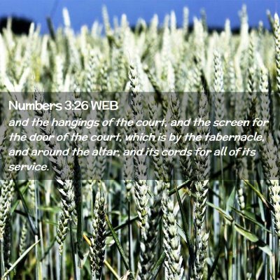 Picture 02 - Numbers 3:26 WEB - and the hangings of the court, and the screen for - Bible Verse Picture