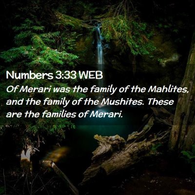 Picture 02 - Numbers 3:33 WEB - Of Merari was the family of the Mahlites, and the - Bible Verse Picture