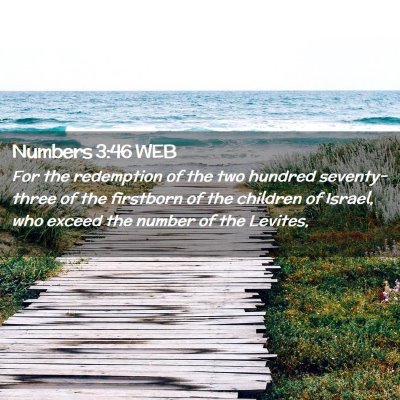 Picture 02 - Numbers 3:46 WEB - For the redemption of the two hundred - Bible Verse Picture