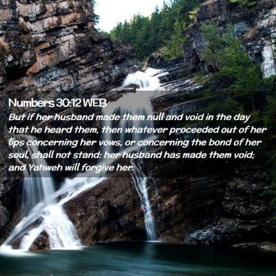 Picture 02 - Numbers 30:12 WEB - But if her husband made them null and void in the - Bible Verse Picture