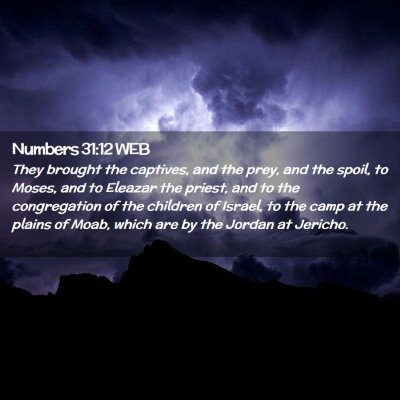 Picture 02 - Numbers 31:12 WEB - They brought the captives, and the prey, and the - Bible Verse Picture