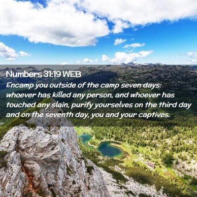 Picture 02 - Numbers 31:19 WEB - Encamp you outside of the camp seven days: - Bible Verse Picture