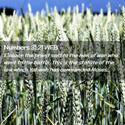 Picture 02 - Numbers 31:21 WEB - Eleazar the priest said to the men of war who - Bible Verse Picture