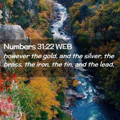 Picture 02 - Numbers 31:22 WEB - however the gold, and the silver, the brass, the - Bible Verse Picture