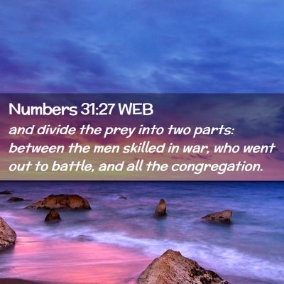 Picture 02 - Numbers 31:27 WEB - and divide the prey into two parts: between the - Bible Verse Picture