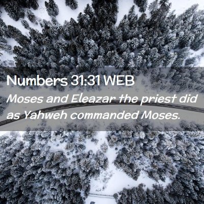 Picture 02 - Numbers 31:31 WEB - Moses and Eleazar the priest did as Yahweh - Bible Verse Picture