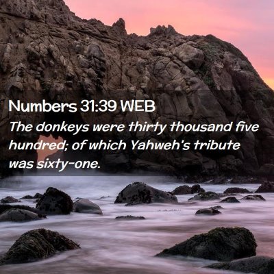 Picture 02 - Numbers 31:39 WEB - The donkeys were thirty thousand five hundred; of - Bible Verse Picture