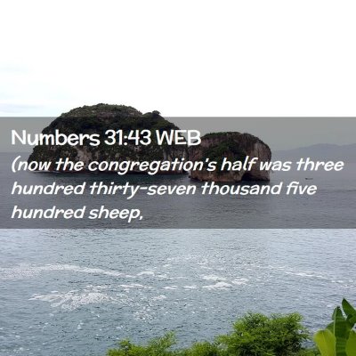 Picture 02 - Numbers 31:43 WEB - (now the congregation's half was three hundred - Bible Verse Picture