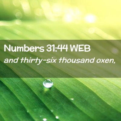 Picture 02 - Numbers 31:44 WEB - and thirty-six thousand - Bible Verse Picture