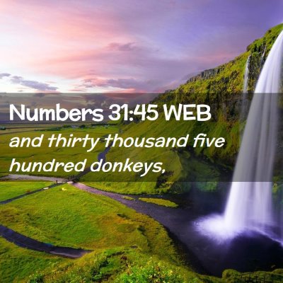 Picture 02 - Numbers 31:45 WEB - and thirty thousand five hundred - Bible Verse Picture