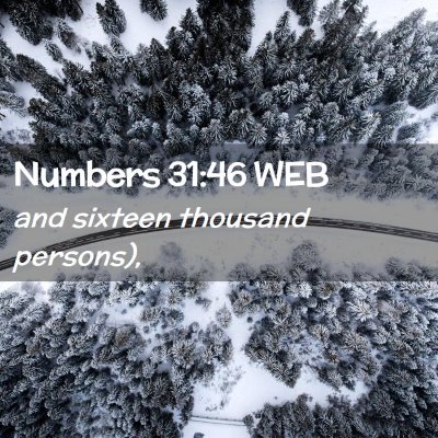 Picture 02 - Numbers 31:46 WEB - and sixteen thousand - Bible Verse Picture