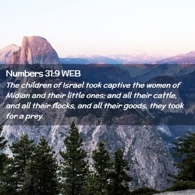 Picture 02 - Numbers 31:9 WEB - The children of Israel took captive the women of - Bible Verse Picture