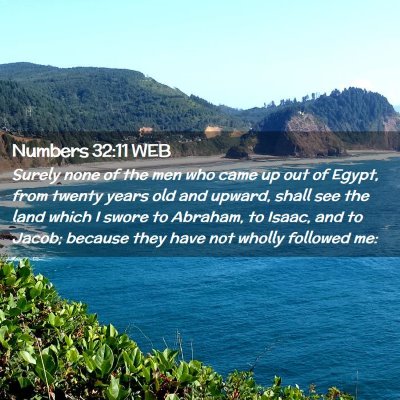 Picture 02 - Numbers 32:11 WEB - Surely none of the men who came up out of Egypt, - Bible Verse Picture