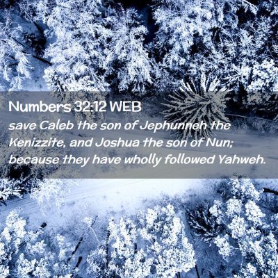 Picture 02 - Numbers 32:12 WEB - save Caleb the son of Jephunneh the Kenizzite, - Bible Verse Picture