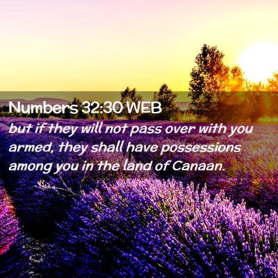 Picture 02 - Numbers 32:30 WEB - but if they will not pass over with you armed, - Bible Verse Picture