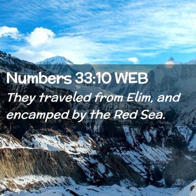 Picture 02 - Numbers 33:10 WEB - They traveled from Elim, and encamped by the Red - Bible Verse Picture