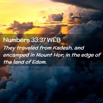 Picture 02 - Numbers 33:37 WEB - They traveled from Kadesh, and encamped in Mount - Bible Verse Picture