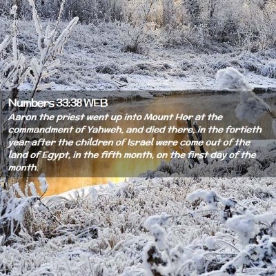 Picture 02 - Numbers 33:38 WEB - Aaron the priest went up into Mount Hor at the - Bible Verse Picture