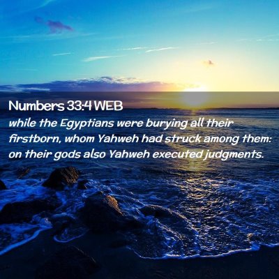 Picture 02 - Numbers 33:4 WEB - while the Egyptians were burying all their - Bible Verse Picture