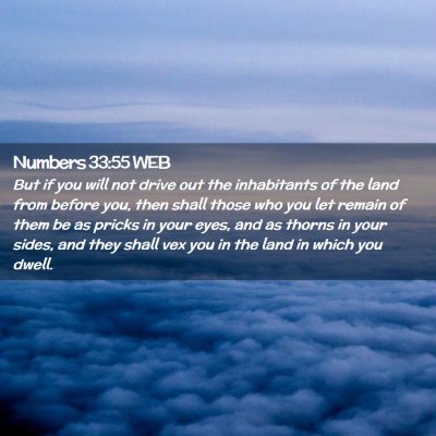 Picture 02 - Numbers 33:55 WEB - But if you will not drive out the inhabitants of - Bible Verse Picture