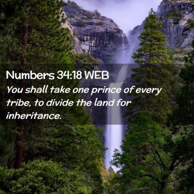 Picture 02 - Numbers 34:18 WEB - You shall take one prince of every tribe, to - Bible Verse Picture