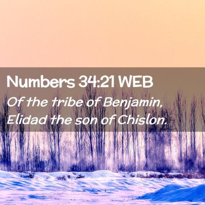 Picture 02 - Numbers 34:21 WEB - Of the tribe of Benjamin, Elidad the son of - Bible Verse Picture