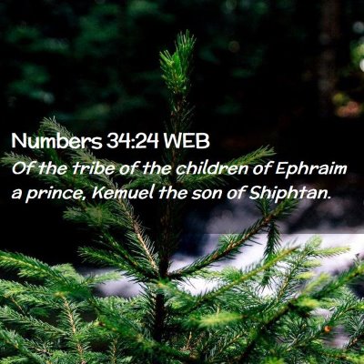 Picture 02 - Numbers 34:24 WEB - Of the tribe of the children of Ephraim a prince, - Bible Verse Picture