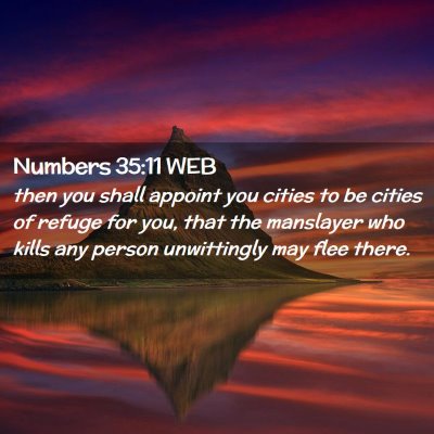 Picture 02 - Numbers 35:11 WEB - then you shall appoint you cities to be cities of - Bible Verse Picture