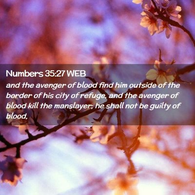 Picture 02 - Numbers 35:27 WEB - and the avenger of blood find him outside of the - Bible Verse Picture