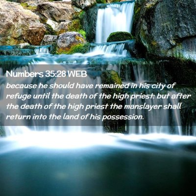 Picture 02 - Numbers 35:28 WEB - because he should have remained in his city of - Bible Verse Picture