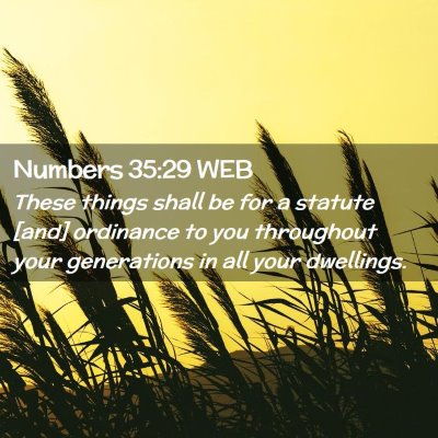 Picture 02 - Numbers 35:29 WEB - These things shall be for a statute [and] - Bible Verse Picture